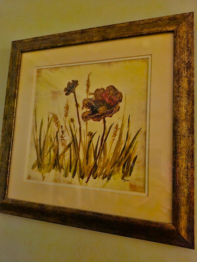 Framed Pic