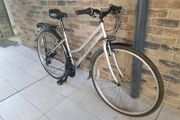 ladies bike( can deliver)