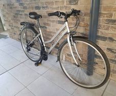 ladies bike( can deliver)