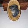 Dog painting labrador Image 4