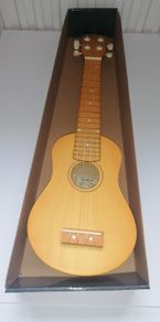 Ukulele