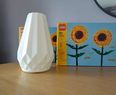 LEGO Botanicals Flower Sets