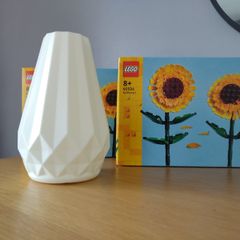 LEGO Botanicals Flower Sets