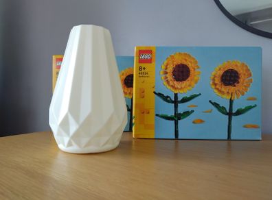 LEGO Botanicals Flower Sets