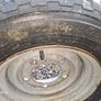 Ifor Williams wheels Image 7