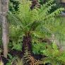 Soft  landscaping services north dublin Image 10