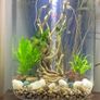 fish tank Image 3