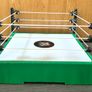 WWE Bloodline Rules Wrestlemania XL wrestling ring Image 4