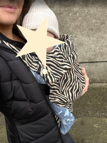 Bizzi Growin Baby Carrier Zebrano