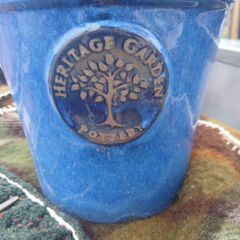 Ceramic Pot Heritage Garden design, glazed blue with nice indoor plant