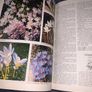Reader's Digest Encyclopaedia of Garden Plants and Flowers Hardcover - 1993 Image 10