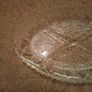Oval Cut Glass Serving Dish Image 2