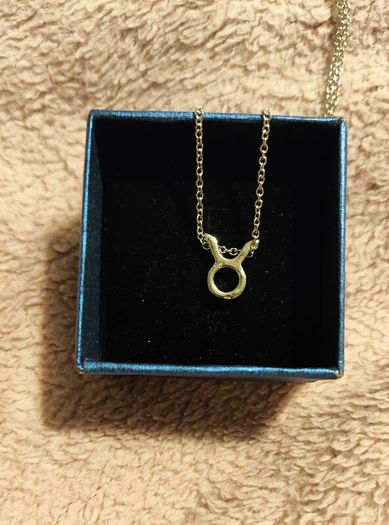 Taurus Zodiac Necklace Celestial & Personal Charm