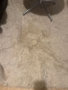 White shaggy rug