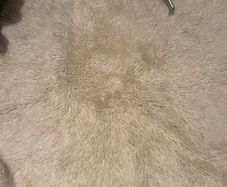 White shaggy rug
