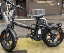 Fat tyre electric bike