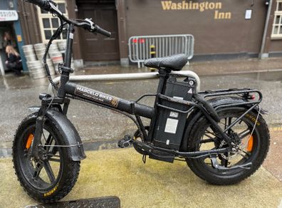 Fat tyre electric bike