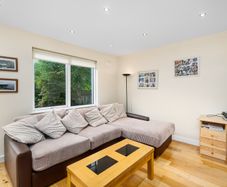 Large Couch