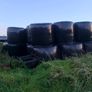 200 bales of silage Image 3