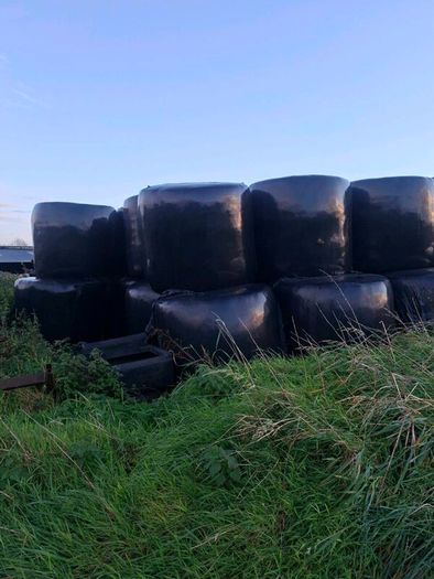 200 bales of silage