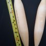 Jumbo 15mm 20mm 25mm Wooden Circular Needles 1pc Image 9
