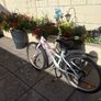 girls bike barely used. 6 speed , immaculate condition. Image 4
