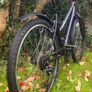 Ladies 26" Bicycle Image 3