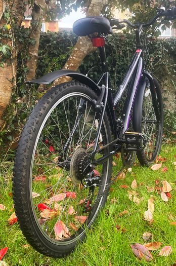 Ladies 26" Bicycle