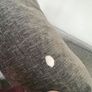free to take away Image 2