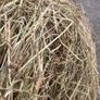 top quality hay Image 6