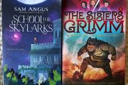 2 Children's Books . Suit 8/ 10  Plus . The Sisters Grimm &amp; School for Skylarks.