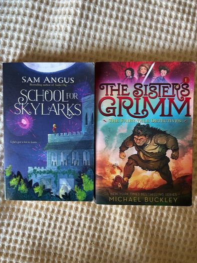 2 Children's Books . Suit 8/ 10  Plus . The Sisters Grimm & School for Skylarks.