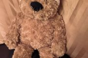 Teddy Bear.