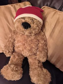 Teddy Bear.