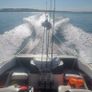 Bayliner Capri Boat Image 9