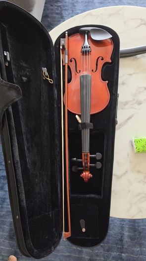 Violin (gear for music)
