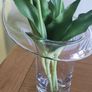 Tall Glass Vase Image 4