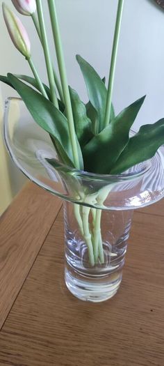 Tall Glass Vase