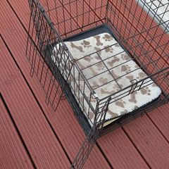Dog Crate (medium size dog)