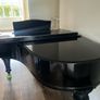 Grand Piano Paul Neumann Image 3