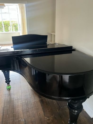 Grand Piano Paul Neumann