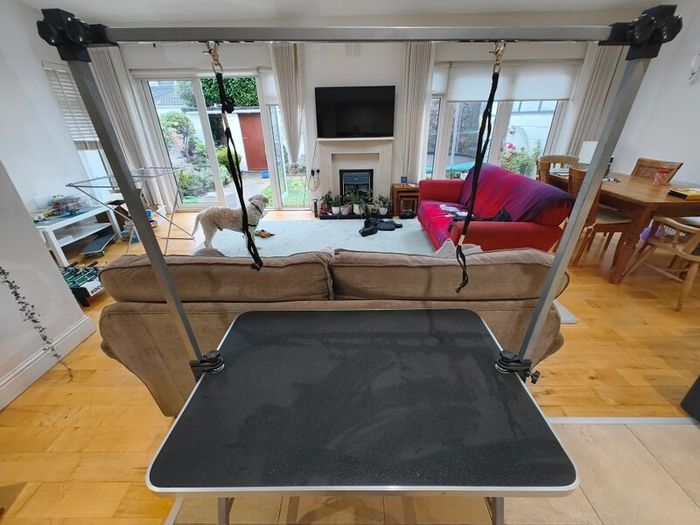 vidaXL Grooming Table for Dogs