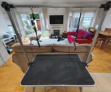 vidaXL Grooming Table for Dogs