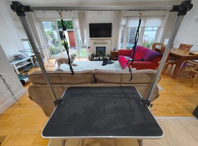 vidaXL Grooming Table for Dogs