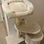 cat climbing tree Image 2