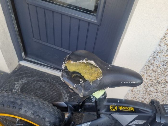 electric bike