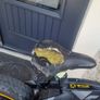 electric bike Image 5