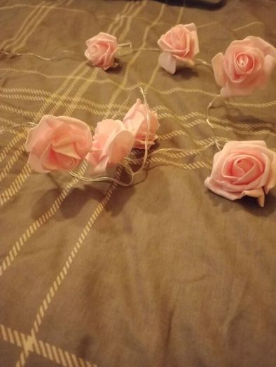 Red Rose & Pink String Lights