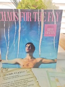 Grian Chatten (Fontaines dc singer) Chaos for the fly sealed vinyl and limited edition lyric book