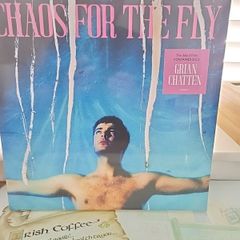 Grian Chatten (Fontaines dc singer) Chaos for the fly sealed vinyl and limited edition lyric book